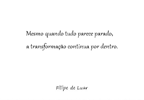 O silêncio onde tudo&nbsp;muda